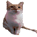 Mascota Virtual